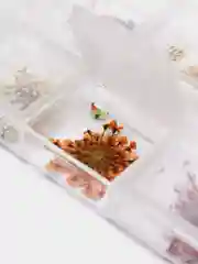 Белый сухоцветы для дизайна ногтей и создания украшений