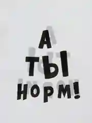 Набор пакетов полиэтиленовых с надписью "А ты норм!", 20 х 30 см, 1, 3 или 5 штук, 35 мкм