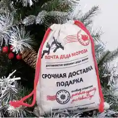 Мешок от Деда Мороза для подарка, новогодняя упаковка праздничная