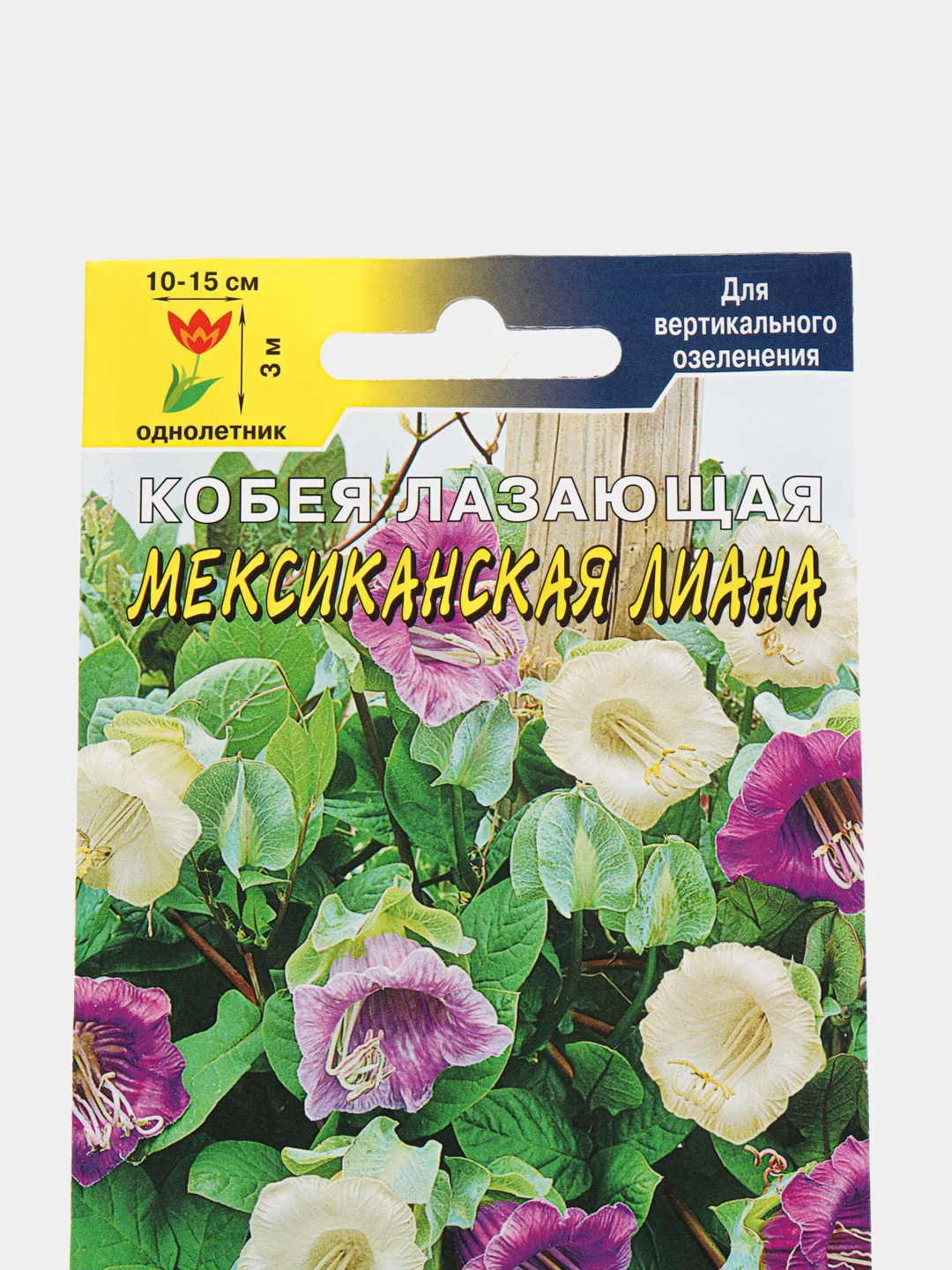 Семена цветов Кобея "Мексиканская лиана"
