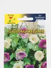 Семена цветов Кобея "Мексиканская лиана"