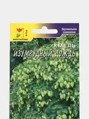 Семена Хмель "Изумрудный дождь"