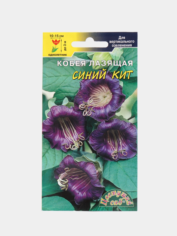 Семена цветов Кобея "Синий кит"