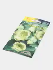 Семена цветов Кобея "Белый Кит"