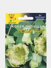Семена цветов Кобея "Белый Кит"