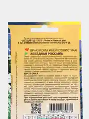 Семена Брахикома "Звездная россыпь"