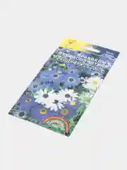 Семена Брахикома "Звездная россыпь"