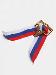 Значок "Сила V правде"