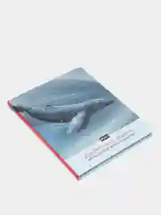 Литературный дневник MyArt "Для тех, кто любит читать и слушать книги"