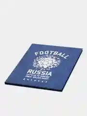 Дневник BRAUBERG "Football", твердый, фольга, с подсказом, 5-11 класс, 48 листов