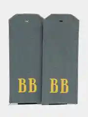 Погоны съемные с хлястиком Внутренних Войск на рубашку