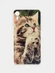 Бронзовый чехол на iPhone XR