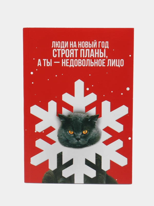 Ежедневник в тонкой обложке "Недовольное лицо", А5, 80 л