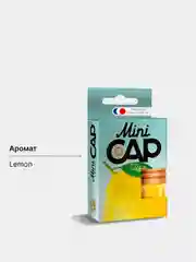 Ароматизатор воздуха для автомобиля подвесной бочонок MINI CAP