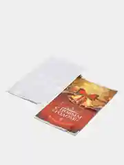 Красный пакет подарочный, 20*35 см, 6 видов