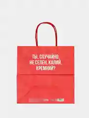 Алый пакет подарочный с надписью , 22х22х11 см, 23 вида