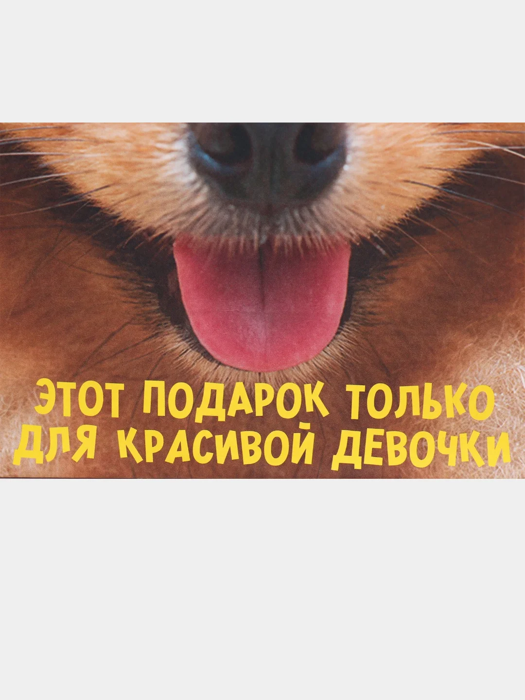 Алый пакет подарочный с надписью , 22х22х11 см, 23 вида