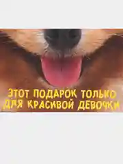 Алый пакет подарочный с надписью , 22х22х11 см, 23 вида