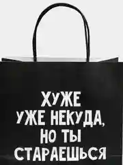 Алый пакет подарочный с надписью , 22х22х11 см, 23 вида