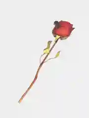 Песочный хаки сухоцветы для скрапбукинга, 110 х 200 мм, 6 штук