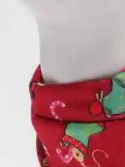 Алый новогодний костюм для собак и кошек