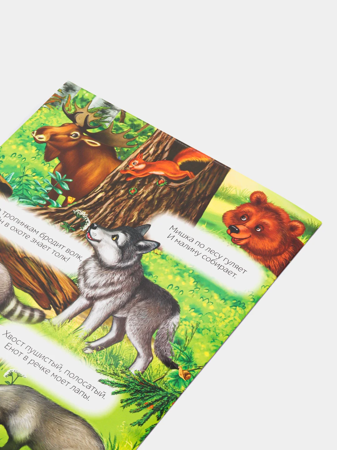 Бронзовый книжка-раскладушка для детей, с многоразовыми наклейками