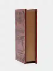 Шкатулка "Семейный бюджет", кожа, тиснение, 21 х 13 х 5 см