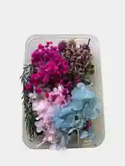 Фуксия сухоцветы в коробе, 17 х 12 х 3 см