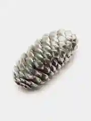 Серебряный шишки еловые,набор 10 штук,разные цвета