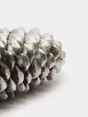 Серебряный шишки еловые,набор 10 штук,разные цвета