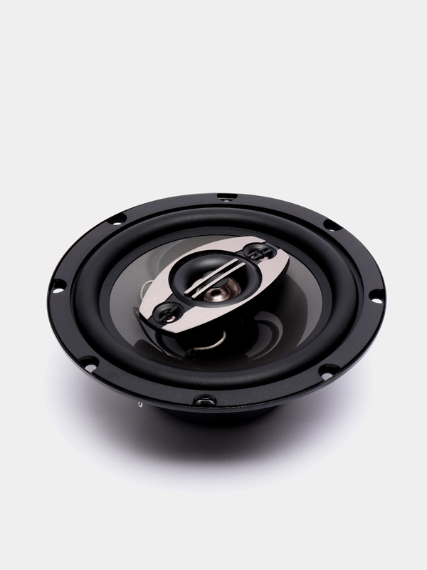 Автомобильная акустическая система SKYLOR CLS-1624, Динамики на авто