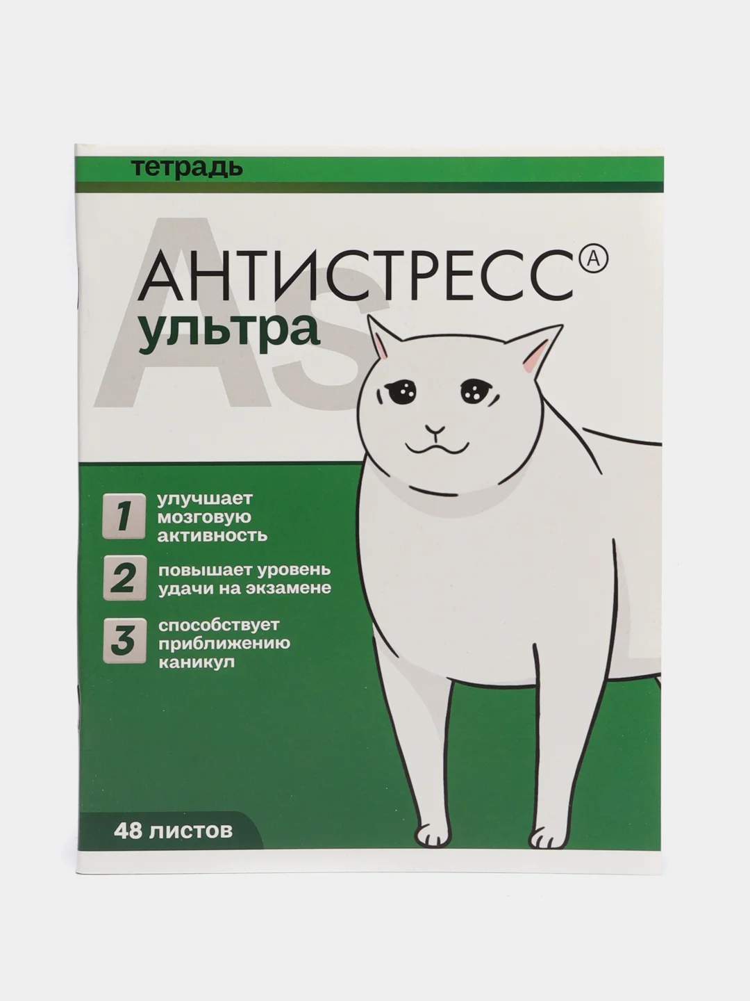 Лесной зеленый тетрадь "Котики таблетки", А5, на скрепке, 48 листов, разные дизайны