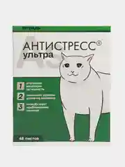 Лесной зеленый тетрадь "Котики таблетки", А5, на скрепке, 48 листов, разные дизайны