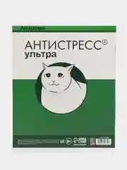 Лесной зеленый тетрадь "Котики таблетки", А5, на скрепке, 48 листов, разные дизайны