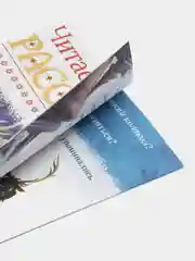 Белый обучающие книги "Учимся читать с Эльзой и Анной. Холодное сердце"