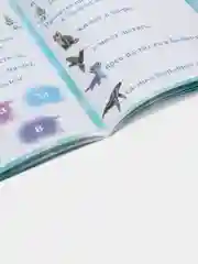 Бирюзовый обучающие книги "Учимся читать с Эльзой и Анной. Холодное сердце"