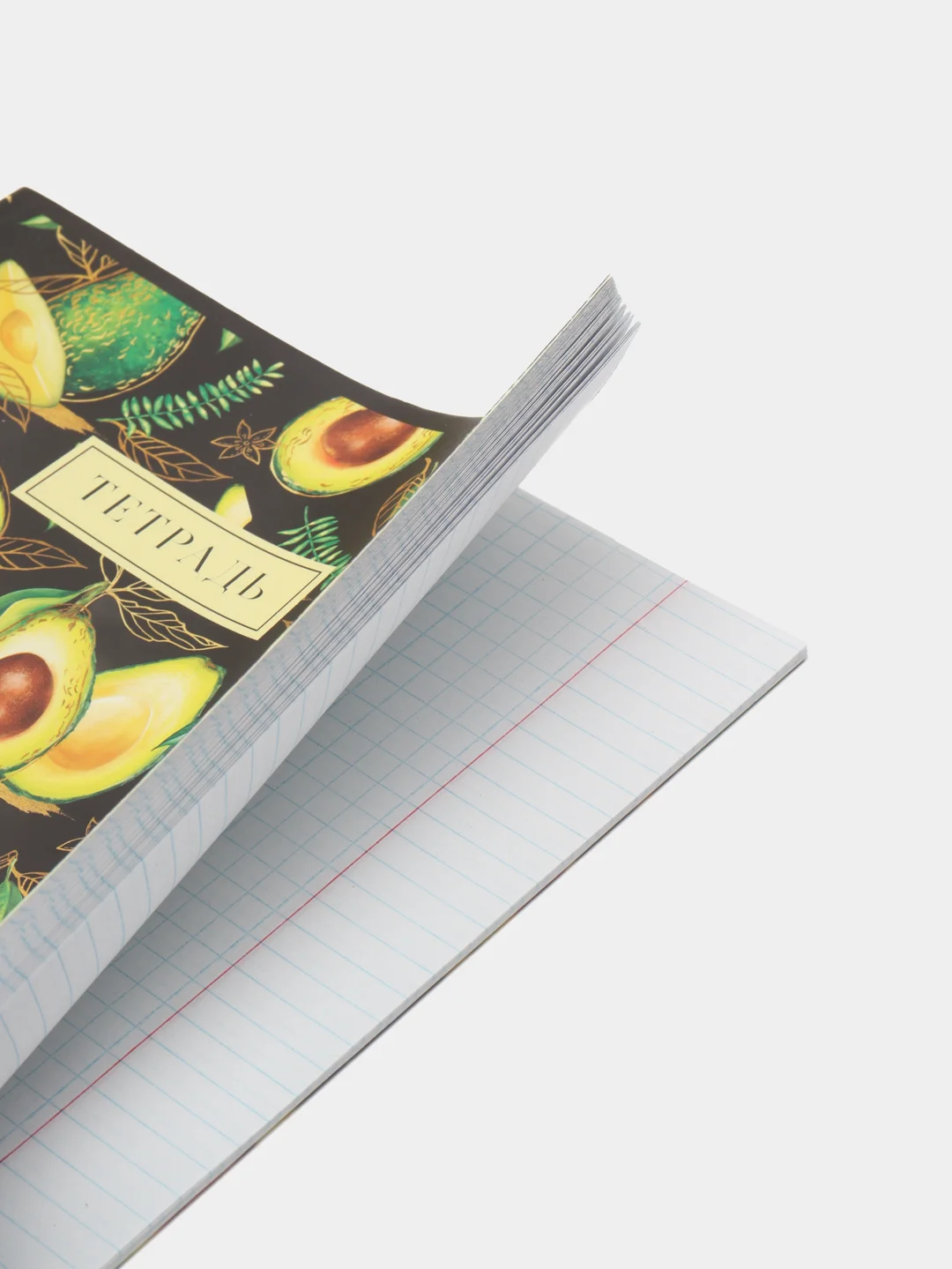 Золотой тетрадь Tropical avocado А5, на скрепке, разные дизайны, 48 листов