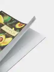 Золотой тетрадь Tropical avocado А5, на скрепке, разные дизайны, 48 листов