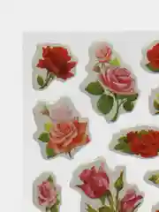 Зеленый наклейки стикеры детские объемные Фрукты Ягоды Цветы