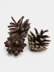 Шишки сосновые золотые, серебрянные для новогодних декораций