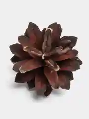 Шишки сосновые золотые, серебрянные для новогодних декораций
