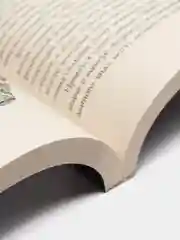 100 способов приручения вида "мужчина обыкновенный", Анна Дамская