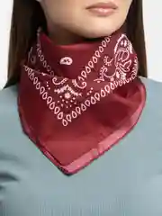 Вишнёвый бандана с принтом