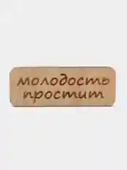 Значок на одежду "Молодость простит", пин на булавке деревянный