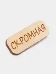 Значок на одежду "Скромная", пин на булавке деревянный, брошь женская, значки на рюкзак