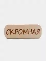 Значок на одежду "Скромная", пин на булавке деревянный, брошь женская, значки на рюкзак