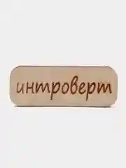 Значок на одежду "Интроверт", пин на булавке, деревянный