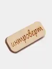 Значок на одежду "Интроверт", пин на булавке, деревянный