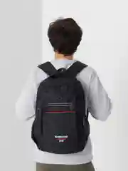 Черный рюкзак мужской Lion Backpack