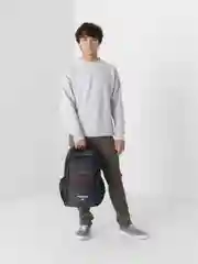 Серый рюкзак мужской Lion Backpack